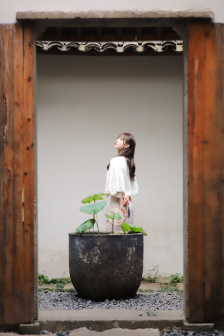 妖精的森林
